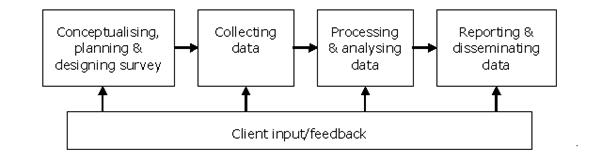 Survey process diagram showing progression from conceptualising, planning and designing survey to collecting data to processing and analysing data to reporting and disseminating data, with client input/feedback at all stages